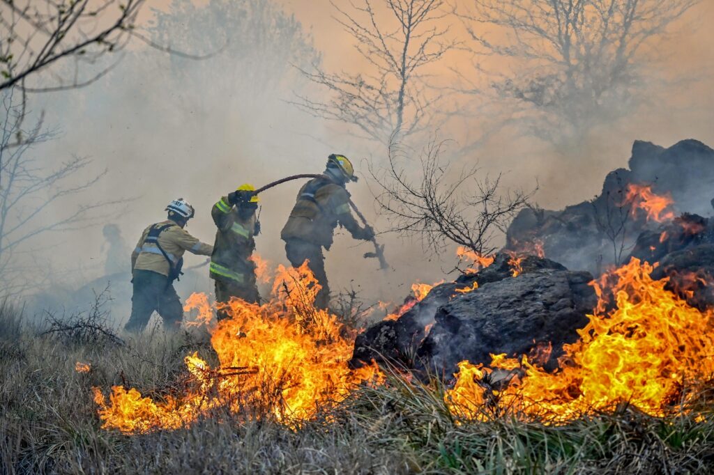 ALERTA DE INCENDIOS FORESTALES: ¡AYUDA A COMBATIR EL FUEGO!